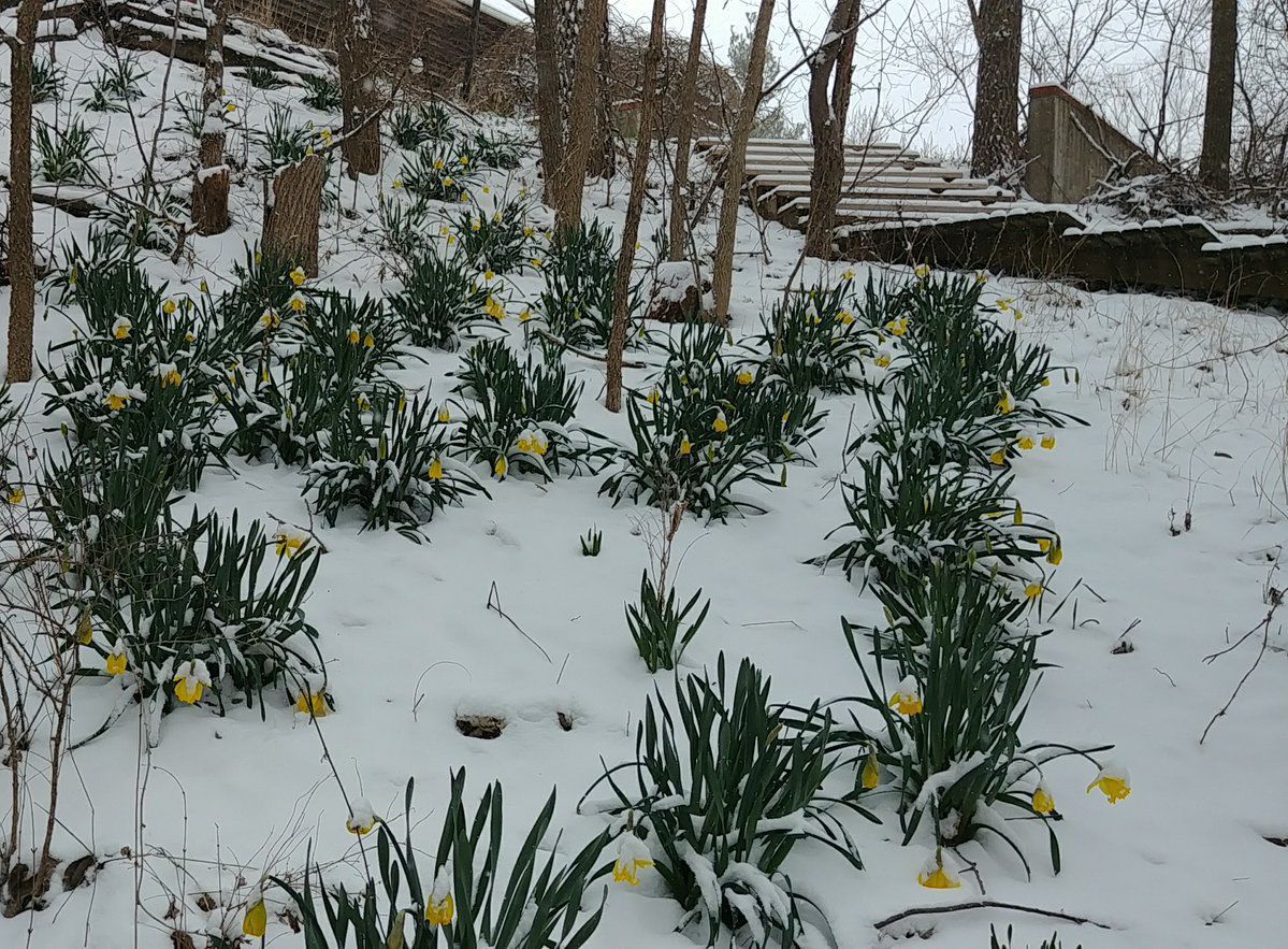 Easter snow